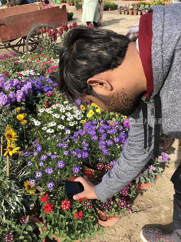 印度德里一年一度的花园节/花卉节上，一名印度男子穿着灰色帽衫，正在用小型袖珍相机拍摄花盆里的红色钵花、紫色雏菊、夏季床上植物